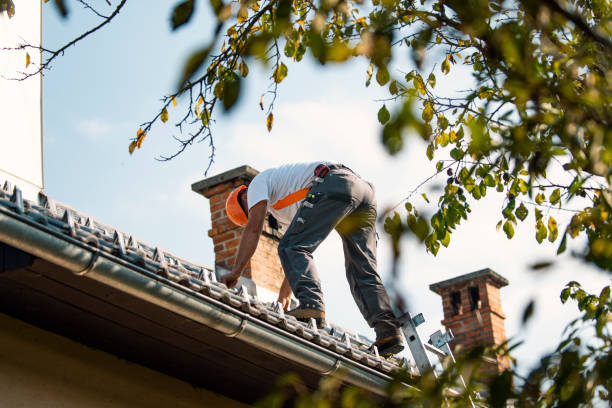 Sealant for Roof in Clinton, TN